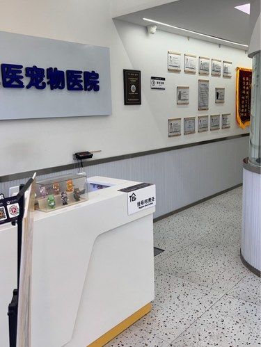今天来打疫苗了 