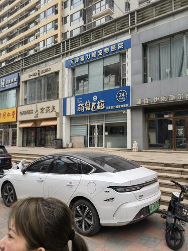 带毛孩子来打个针