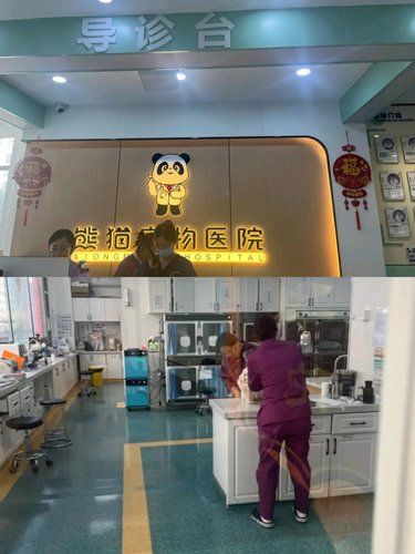 给孩子绝育，医生暖心、环境舒心，满满安全感‼