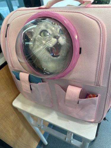 拜恩宠物医院爱宠的健康管家