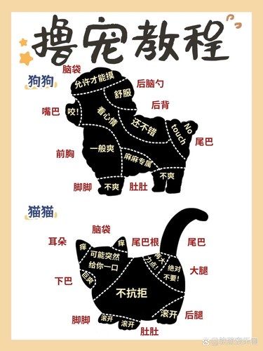 新知识 每日get✅