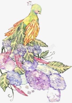 手绘唯美小清新孔雀素材