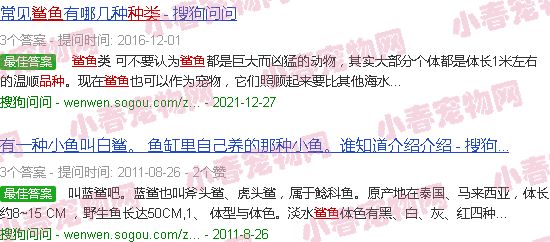 家养小鲨鱼的品种