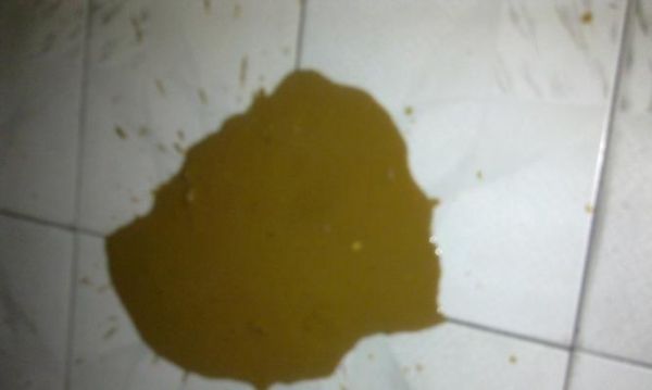 小狗拉稀严重怎么办？如何快速识别并处理宠物腹泻问题？