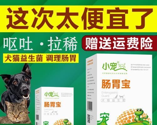 宠物拉肚子该如何处理（小狗拉肚子吃什么药）