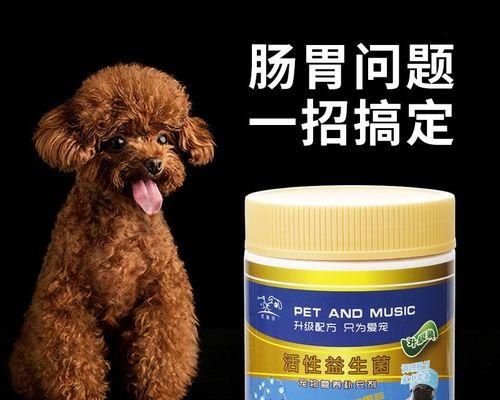 宠物拉肚子该如何处理（小狗拉肚子吃什么药）