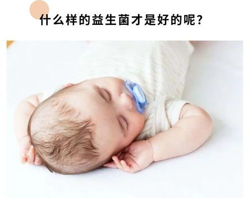 宠物晕车拉肚，喂食益生菌，保持环境稳定。
