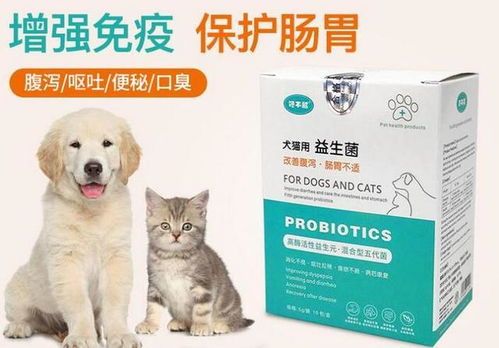 宠物拉肚子怎么办？选对药，健康无忧！