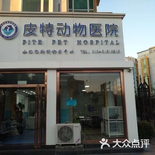 天照宠物医院大兴店电话多少啊（北京天照爱宠物医院）