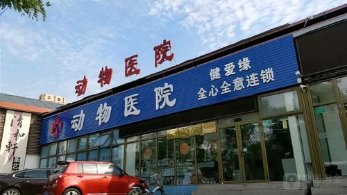 天照宠物医院大兴店电话多少啊（北京天照爱宠物医院）