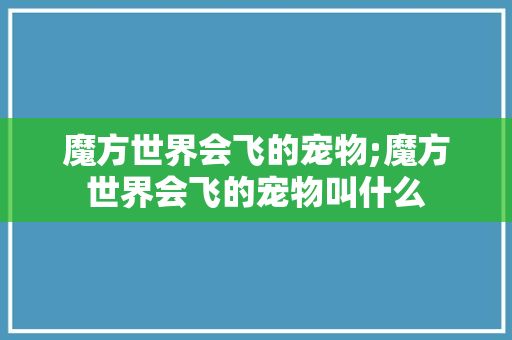 魔方世界会飞的宠物;魔方世界会飞的宠物叫什么