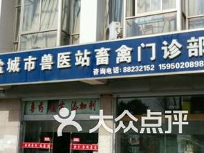 沈阳宠物医院怎么选？沈阳市宠物医院排名及口碑评价