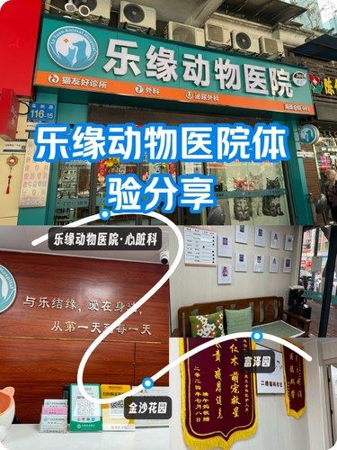 医术超赞 医心更美~