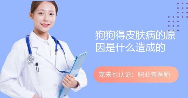 狗狗得皮肤病的原因是什么造成的