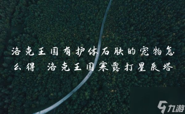 洛克王国有护体石肤的宠物怎么得 洛克王国寒露打星辰塔
