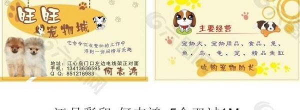 宠物名片图片