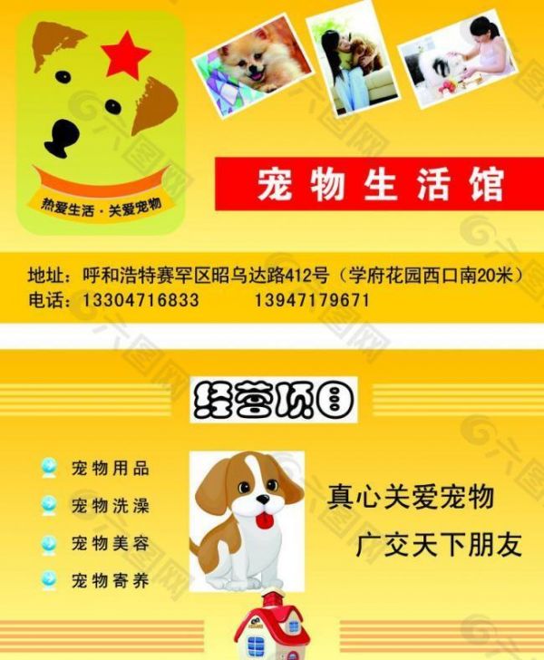 宠物名片图片