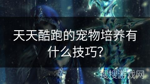 天天酷跑的宠物培养有什么技巧？