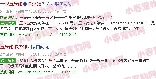 原色玉米蛇多少钱一只