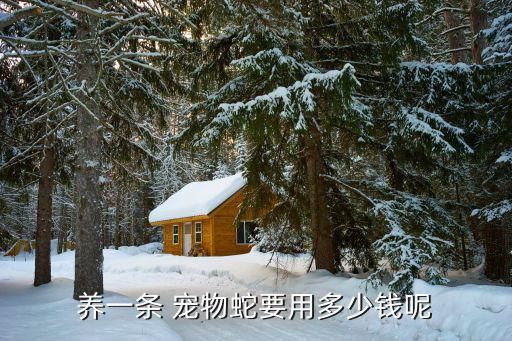 养一条 宠物蛇要用多少钱呢