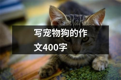 写宠物狗的作文400字