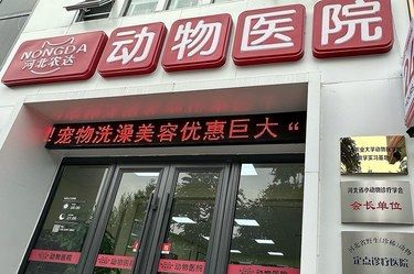 超暖心的毛孩子守护站