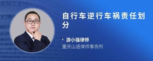 自行车逆行车祸责任划分