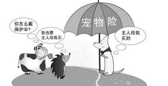 宠物热升温 宠物保险产品应运而生