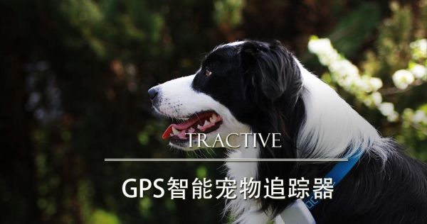 「Tractive」获Monkfish Equity数百万美元投资 提供宠物GPS追踪器