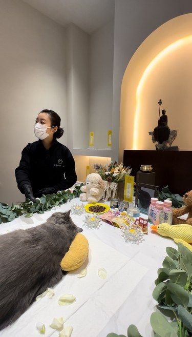 西安宠物殡葬服务：一场深情的告别，永恒的纪念