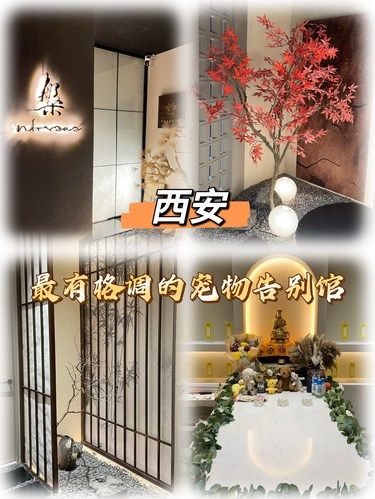 西安最有格调的宠物告别馆