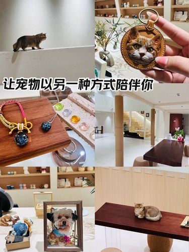上海普陀的…宠物殡仪馆，为爱宠一生画上句号。