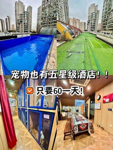 宠物也有自己的五星酒店！