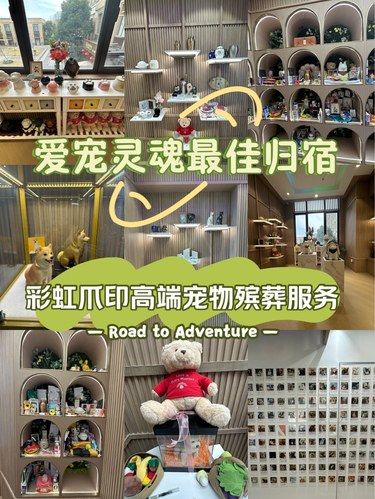 爱宠灵魂最佳归宿-彩虹爪印高端殡葬服务