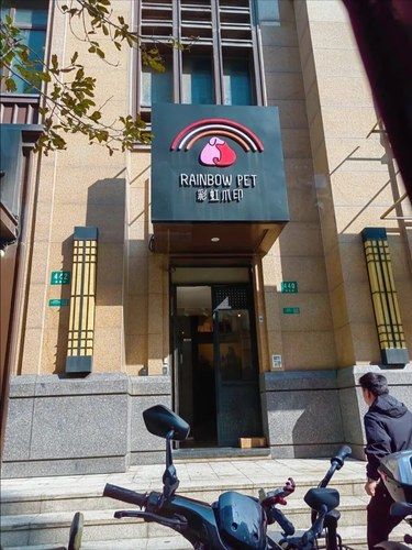 铲屎官必看❗️给毛孩子最温暖的告别…..