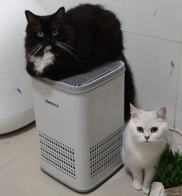 1336cf917fb743df96615fc7ffc4eef0.jpeg
