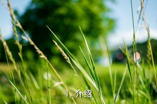 1. 介绍