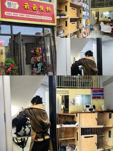 喵星人的美容院日常