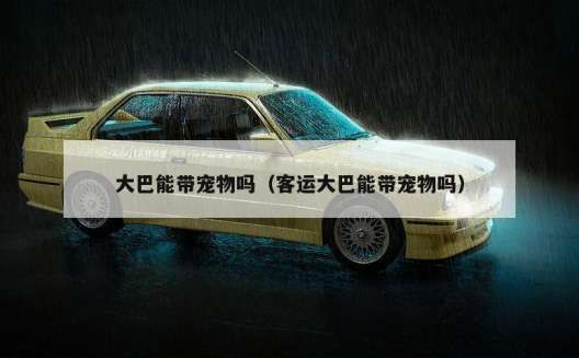 大巴能带宠物吗（客运大巴能带宠物吗）