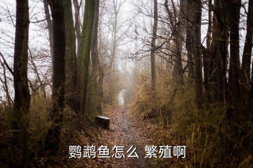  鹦鹉鱼怎么 繁殖啊