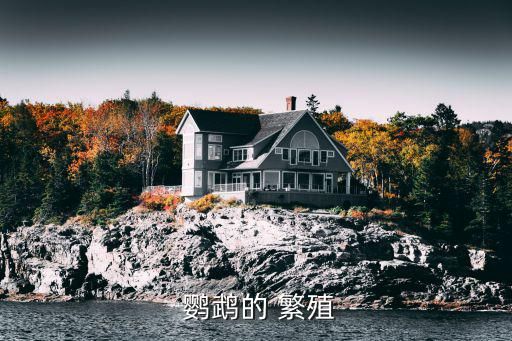  鹦鹉的 繁殖