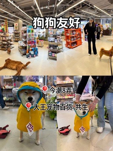春天到了狗子不也得买衣服