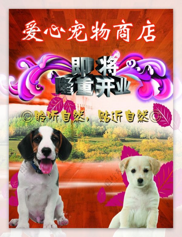 宠物商店开业海报图片