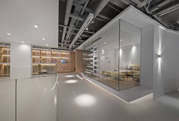 成都宠物店装修设计施工一般要多少钱