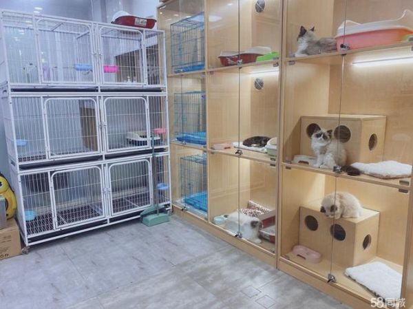 转让 新装修6年老店宠物店转让 接手即可营业