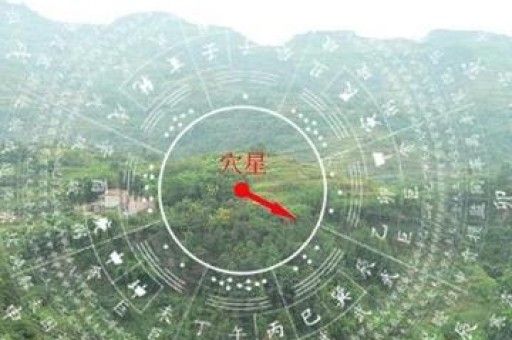 宠物店名称精选 英文版有趣吸引人宠物店名创意 英文趣味大全