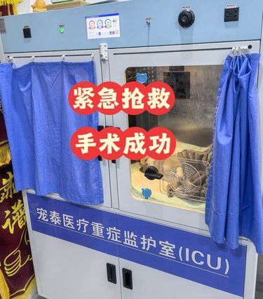 常熟过来找昆山宠泰宠物医院寻求帮助