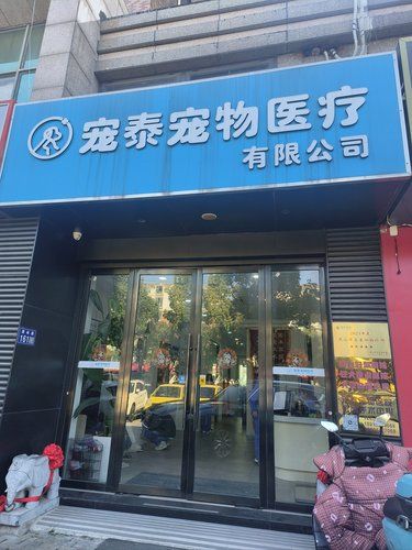 带着毛孩子体检的一天