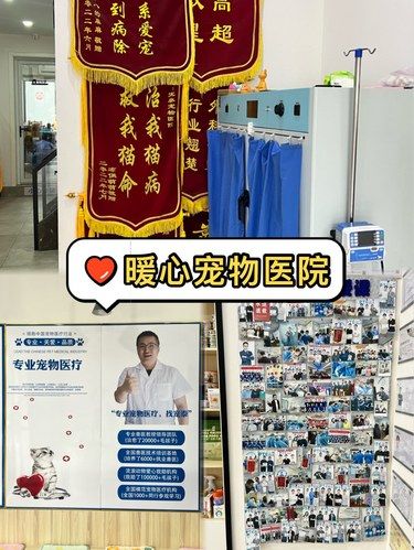 给昆山这家宠物医院点赞