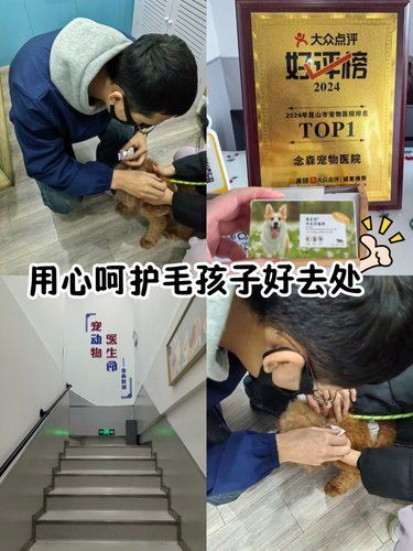 在昆山，用心呵护毛孩子好去处～